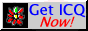 Get ICQ Now!